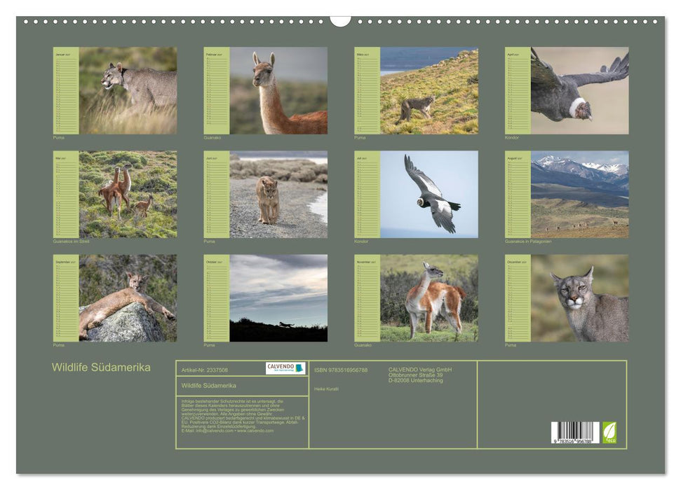 Wildlife Südamerika (CALVENDO Wandkalender 2027)
