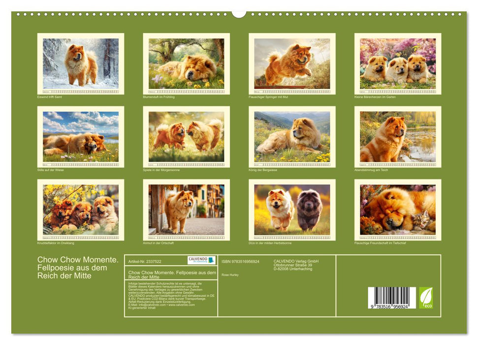 Chow Chow Momente. Fellpoesie aus dem Reich der Mitte (CALVENDO Premium Wandkalender 2027)