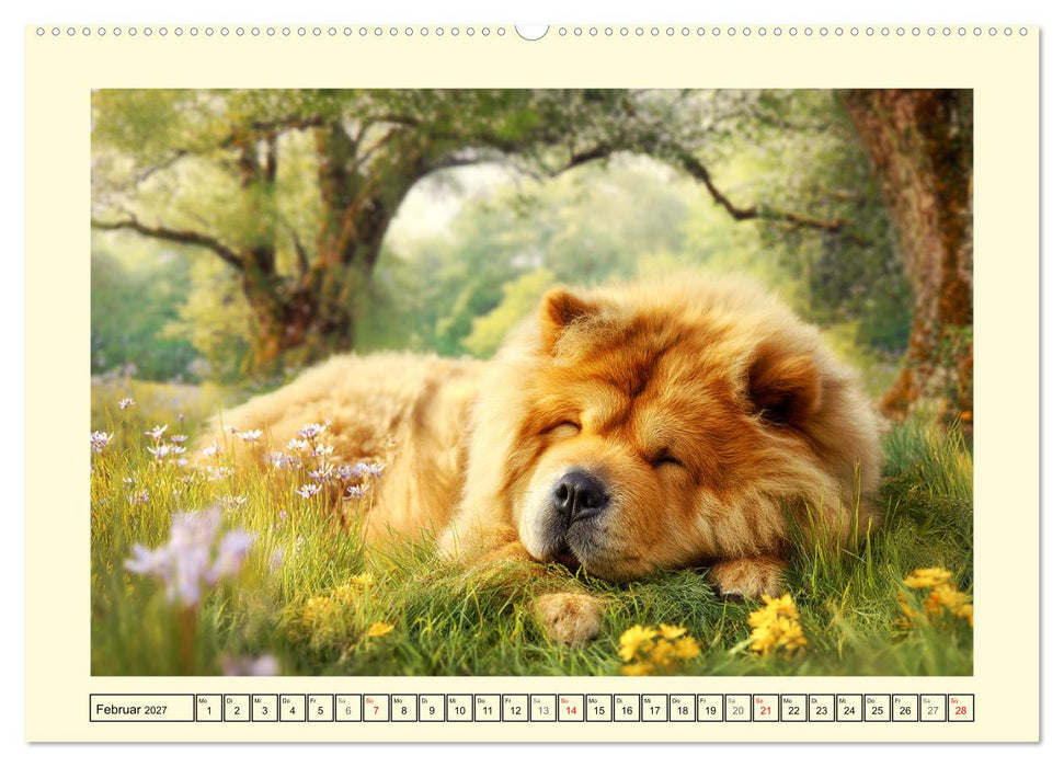 Chow Chow Momente. Fellpoesie aus dem Reich der Mitte (CALVENDO Premium Wandkalender 2027)