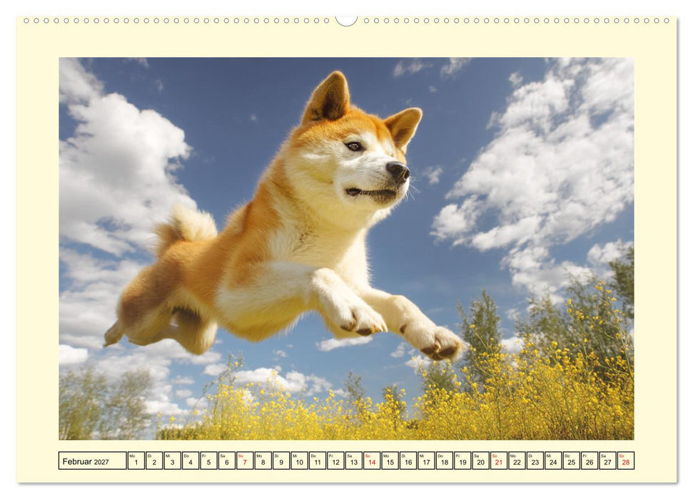 Akita Inu in der Natur. Japans edle und sanfte Schönheit (CALVENDO Wandkalender 2027)
