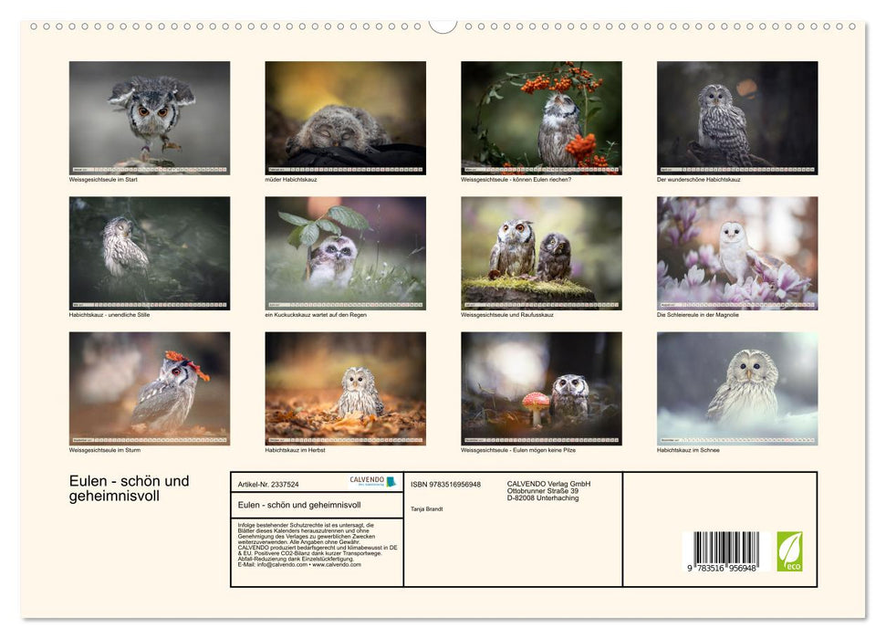 Eulen - schön und geheimnisvoll (CALVENDO Premium Wandkalender 2027)