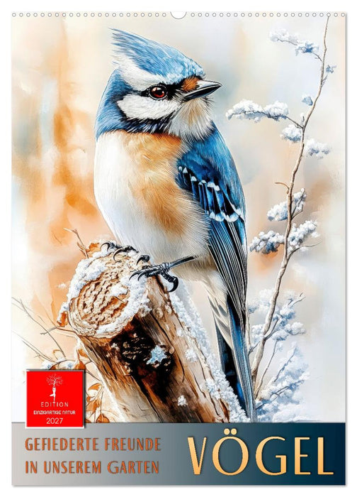 Vögel - gefiederte Freunde in unserem Garten (CALVENDO Wandkalender 2027)