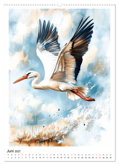 Vögel - gefiederte Freunde in Wald und Feld (CALVENDO Premium Wandkalender 2027)