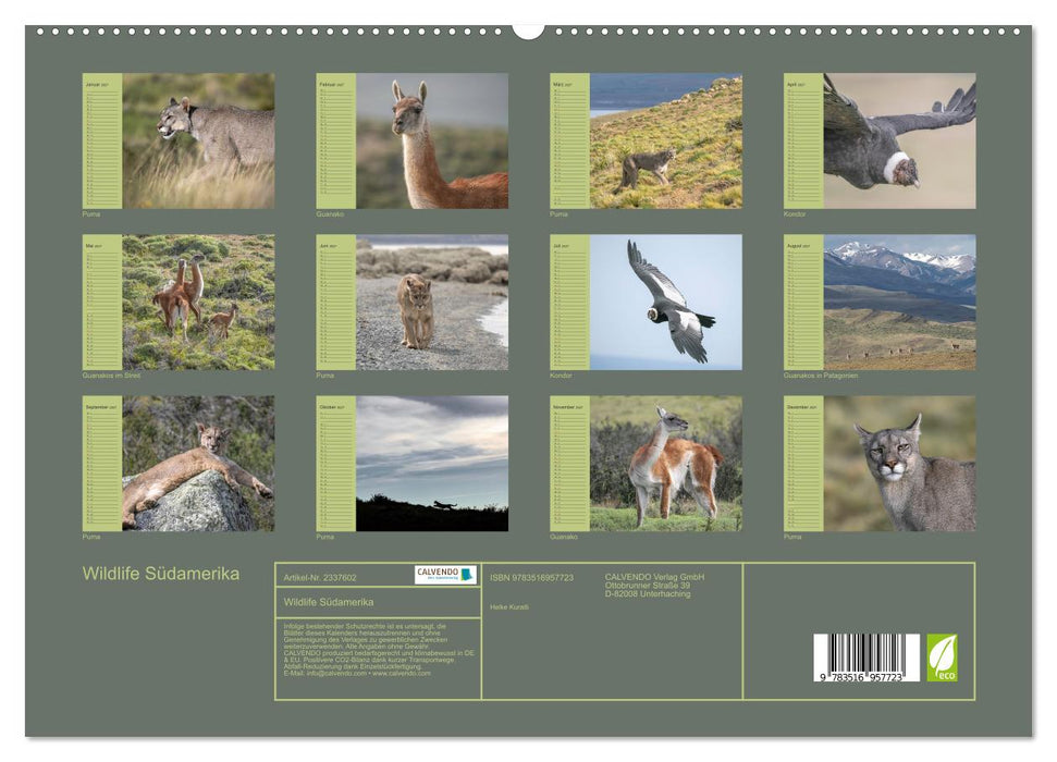 Wildlife Südamerika (CALVENDO Premium Wandkalender 2027)