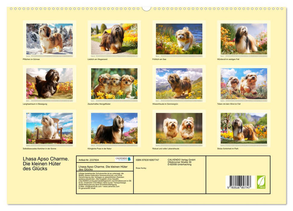 Lhasa Apso Charme. Die kleinen Hüter des Glücks (CALVENDO Premium Wandkalender 2027)