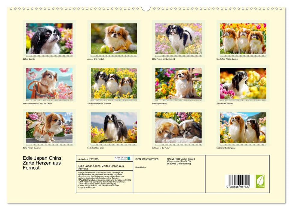Edle Japan Chins. Zarte Herzen aus Fernost (CALVENDO Premium Wandkalender 2027)