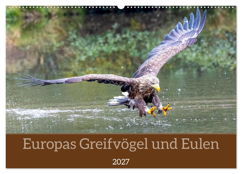 Europas Greifvögel und Eulen (CALVENDO Wandkalender 2027)