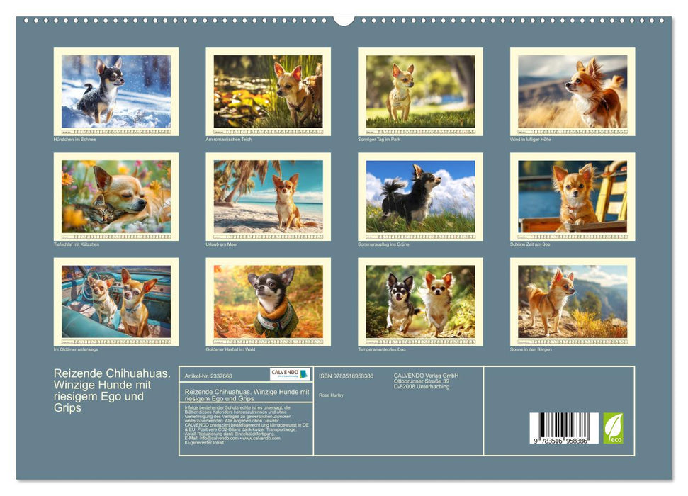 Reizende Chihuahuas. Winzige Hunde mit riesigem Ego und Grips (CALVENDO Premium Wandkalender 2027)