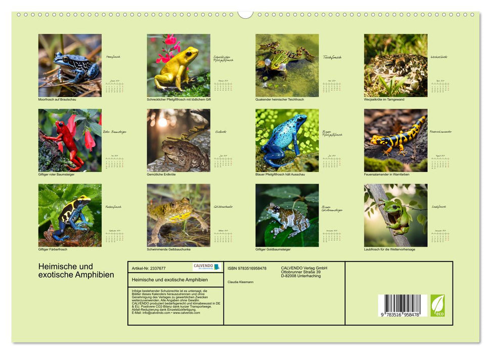 Heimische und exotische Amphibien (CALVENDO Premium Wandkalender 2027)