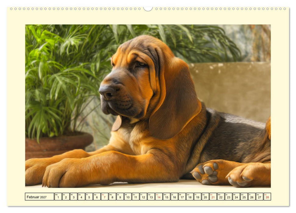 Bloodhound Momente. Zielstrebige Schnüffler mit treuer Seele (CALVENDO Premium Wandkalender 2027)