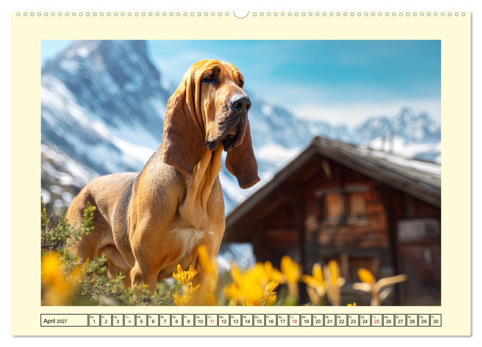 Bloodhound Momente. Zielstrebige Schnüffler mit treuer Seele (CALVENDO Premium Wandkalender 2027)