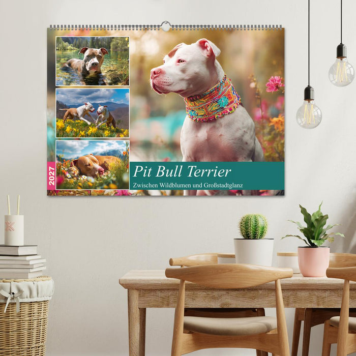 Pit Bull Terrier. Zwischen Wildblumen und Großstadtglanz (CALVENDO Wandkalender 2027)