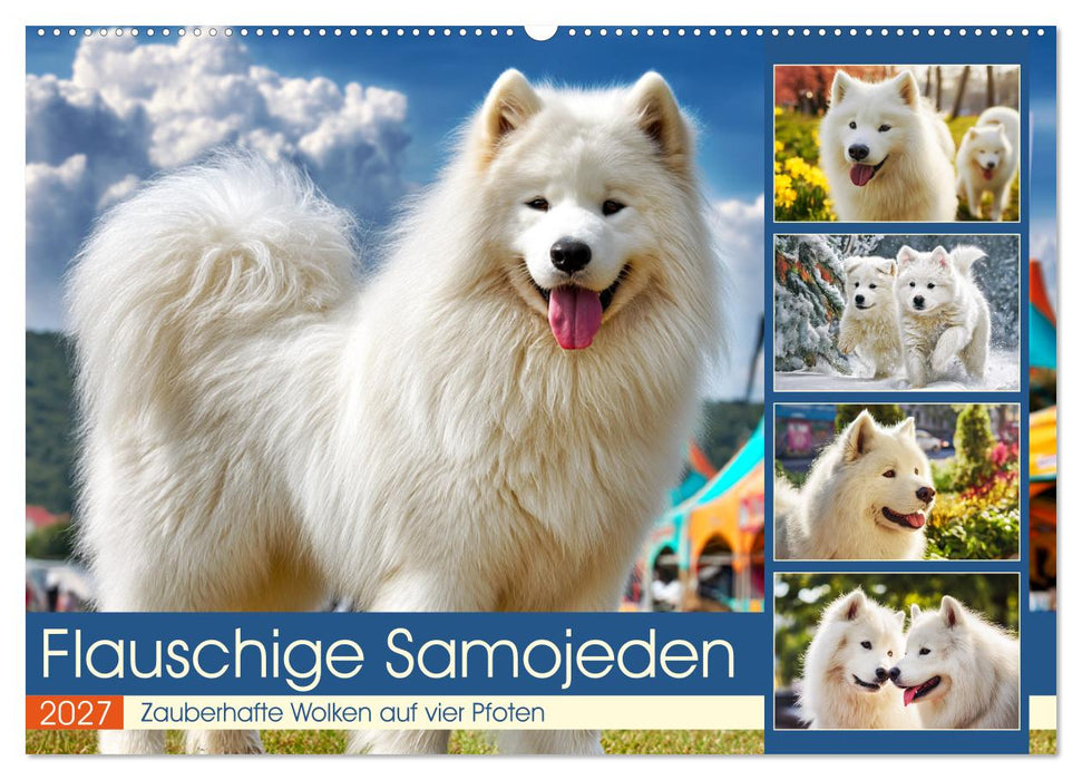 Flauschige Samojeden. Zauberhafte Wolken auf vier Pfoten (CALVENDO Wandkalender 2027)
