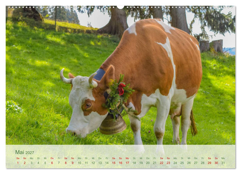 Bergstille – Momente auf der Alm (CALVENDO Wandkalender 2027)