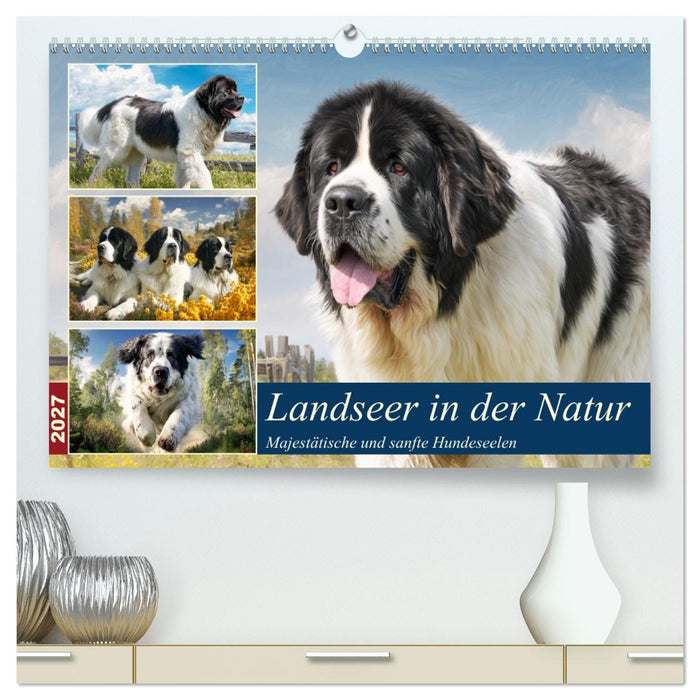 Landseer in der Natur. Majestätische und sanfte Hundeseelen (CALVENDO Premium Wandkalender 2027)