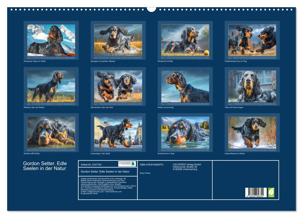 Gordon Setter. Edle Seelen in der Natur (CALVENDO Wandkalender 2027)