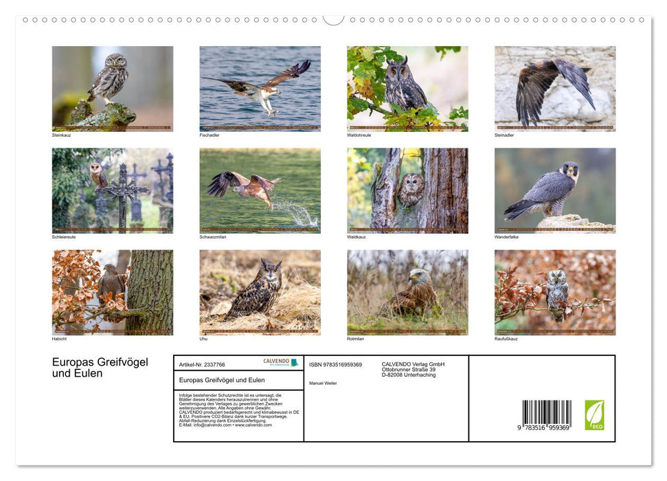 Europas Greifvögel und Eulen (CALVENDO Premium Wandkalender 2027)