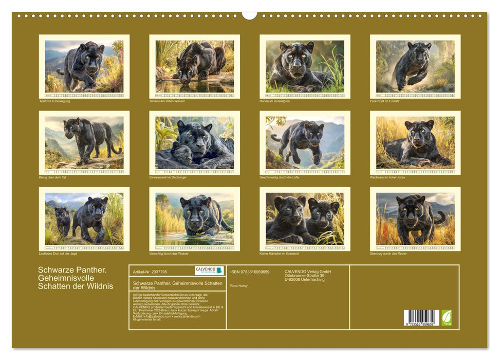 Schwarze Panther. Geheimnisvolle Schatten der Wildnis (CALVENDO Wandkalender 2027)