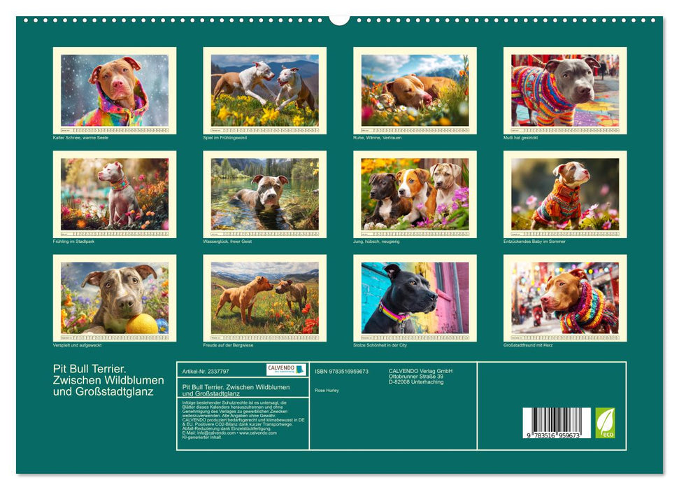 Pit Bull Terrier. Zwischen Wildblumen und Großstadtglanz (CALVENDO Premium Wandkalender 2027)