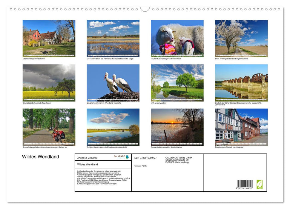 Wildes Wendland (CALVENDO Wandkalender 2027)