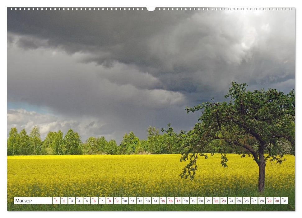 Wildes Wendland (CALVENDO Wandkalender 2027)