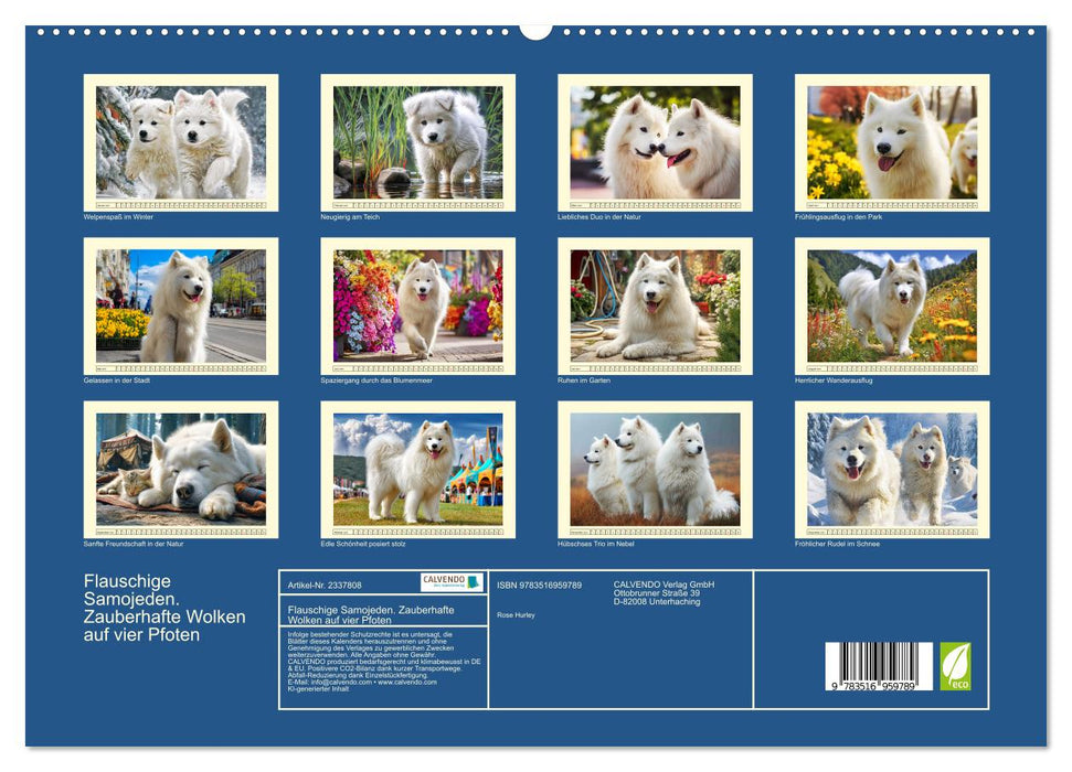 Flauschige Samojeden. Zauberhafte Wolken auf vier Pfoten (CALVENDO Premium Wandkalender 2027)