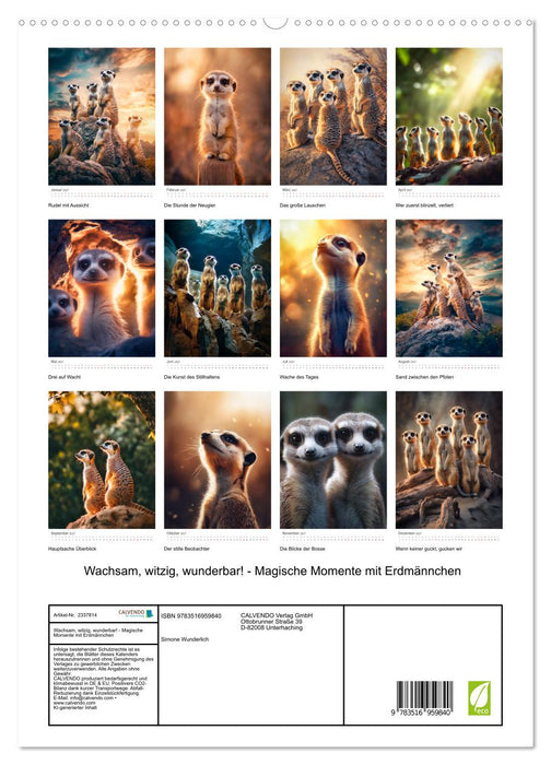 Wachsam, witzig, wunderbar! - Magische Momente mit Erdmännchen (CALVENDO Premium Wandkalender 2027)