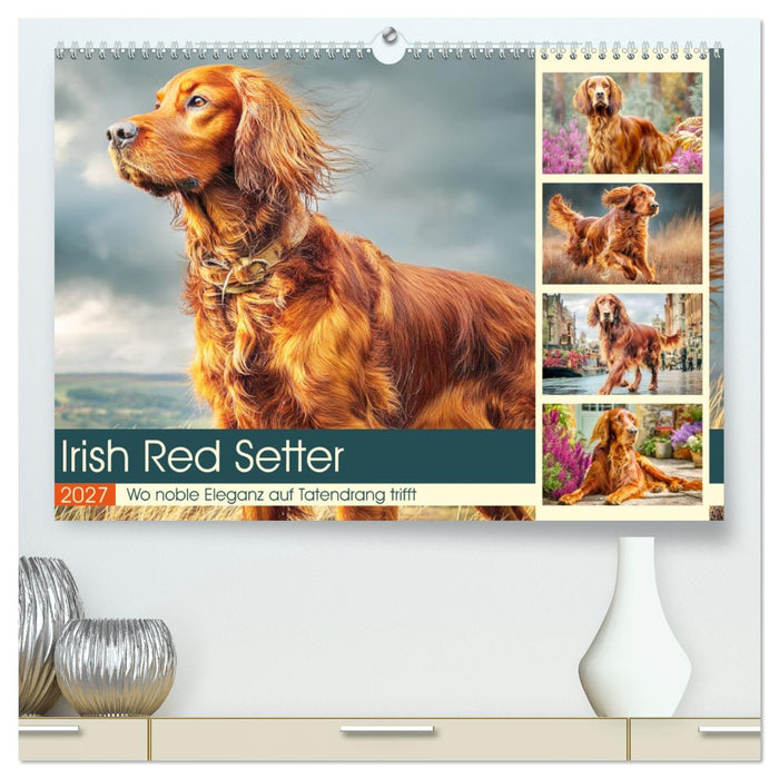 Irish Red Setter. Wo noble Eleganz auf Tatendrang trifft (CALVENDO Premium Wandkalender 2027)
