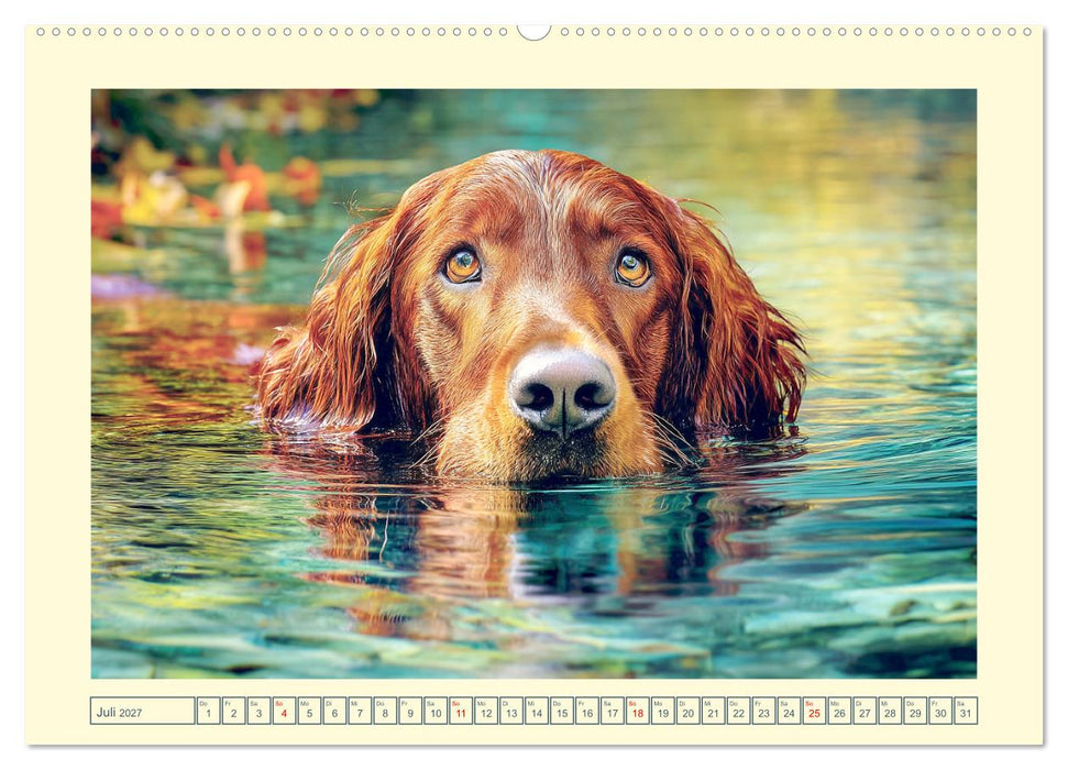 Irish Red Setter. Wo noble Eleganz auf Tatendrang trifft (CALVENDO Premium Wandkalender 2027)