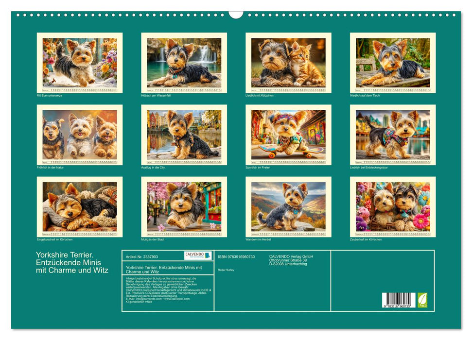 Yorkshire Terrier. Entzückende Minis mit Charme und Witz (CALVENDO Wandkalender 2027)