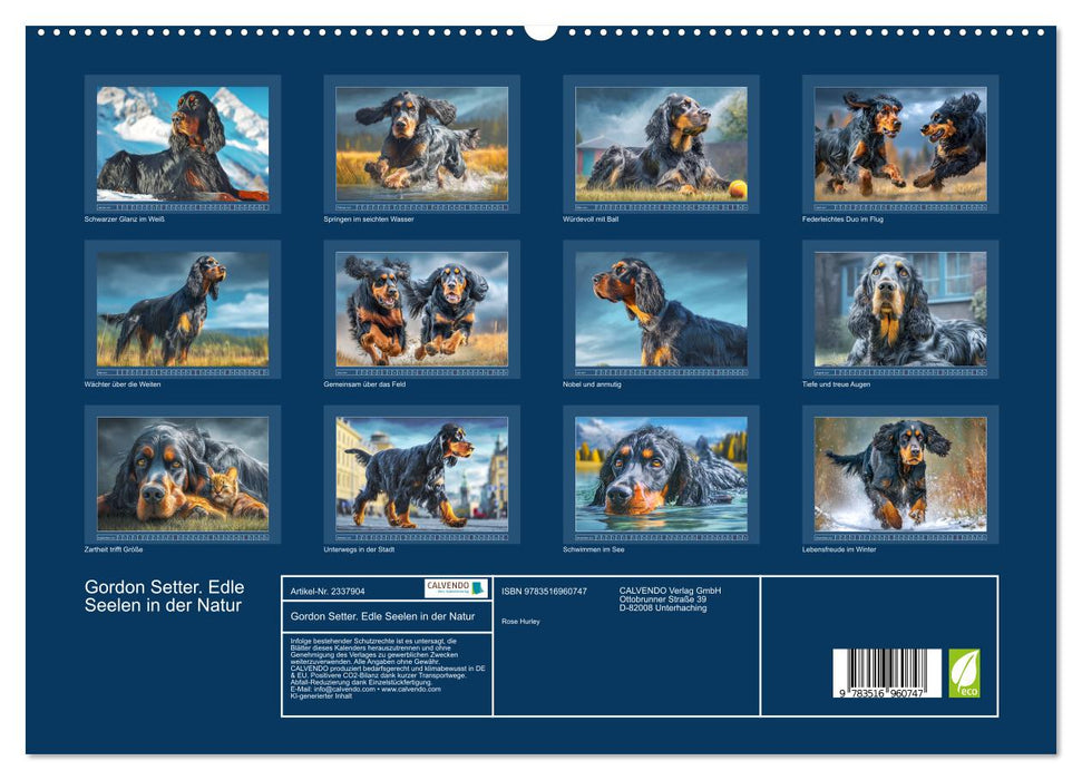 Gordon Setter. Edle Seelen in der Natur (CALVENDO Premium Wandkalender 2027)