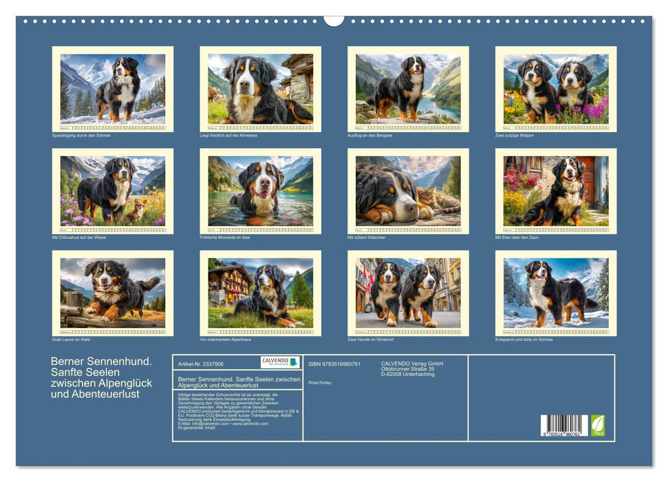 Berner Sennenhund. Sanfte Seelen zwischen Alpenglück und Abenteuerlust (CALVENDO Wandkalender 2027)