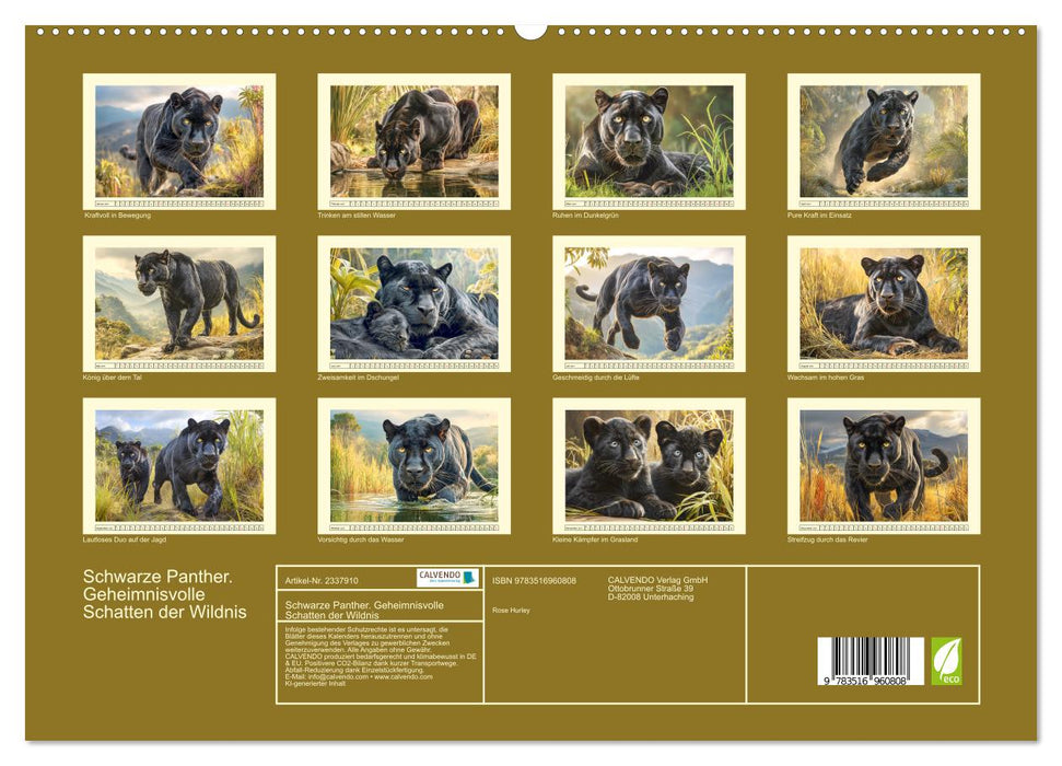 Schwarze Panther. Geheimnisvolle Schatten der Wildnis (CALVENDO Premium Wandkalender 2027)