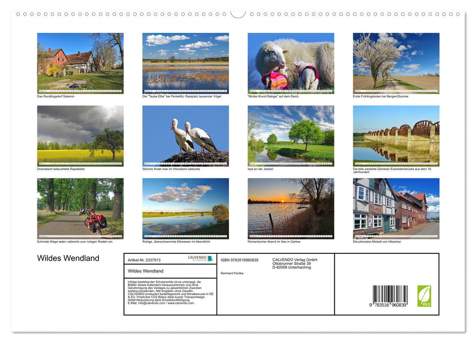 Wildes Wendland (CALVENDO Premium Wandkalender 2027)