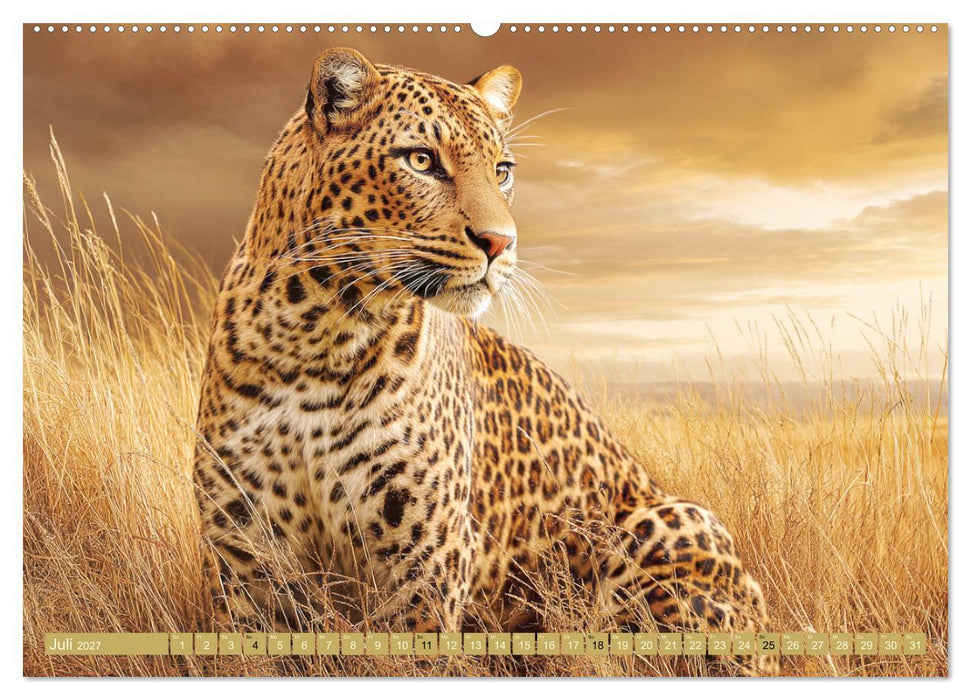 Leoparden. Meister der Jagd im seidigen Fleckenfell (CALVENDO Premium Wandkalender 2027)