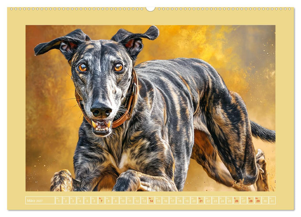 Windhunde. Seelenflüsterer zwischen Anmut, Tempo und Stille (CALVENDO Wandkalender 2027)