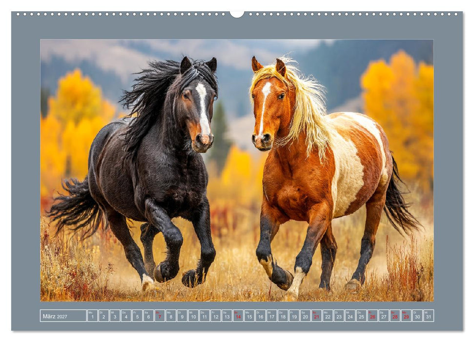 Mustangs. Pferde in ihrer wildesten Schönheit (CALVENDO Wandkalender 2027)