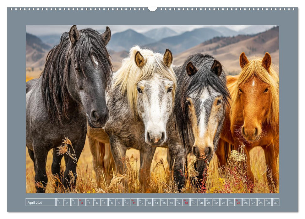 Mustangs. Pferde in ihrer wildesten Schönheit (CALVENDO Wandkalender 2027)