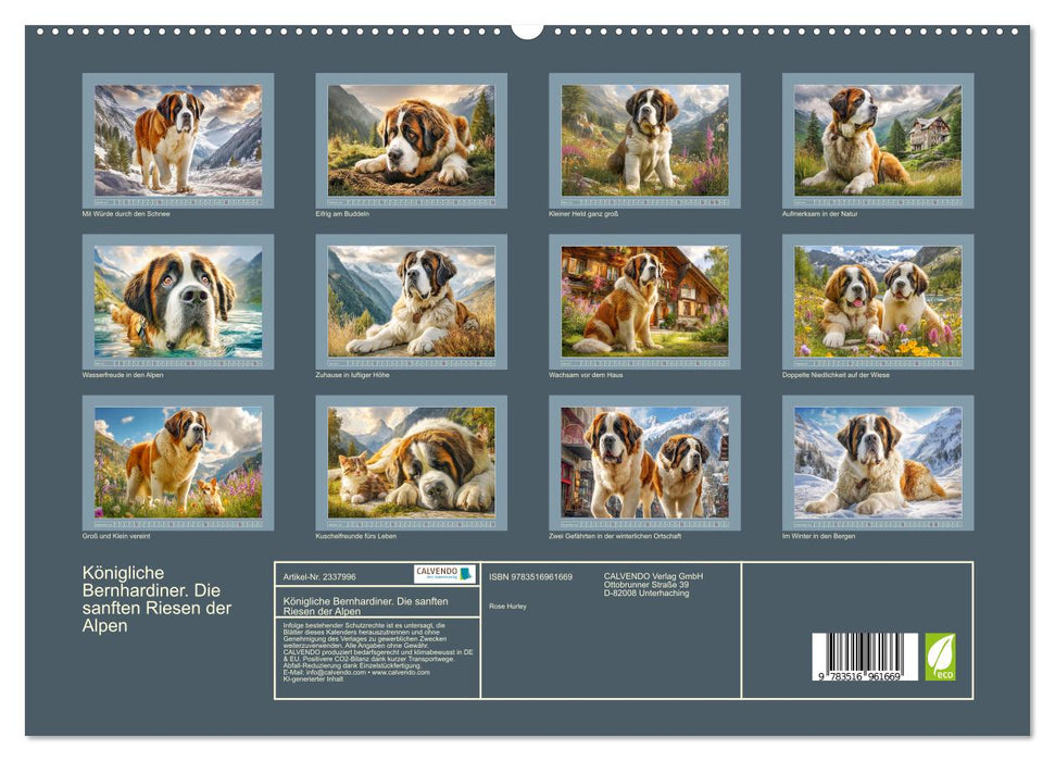Königliche Bernhardiner. Die sanften Riesen der Alpen (CALVENDO Premium Wandkalender 2027)