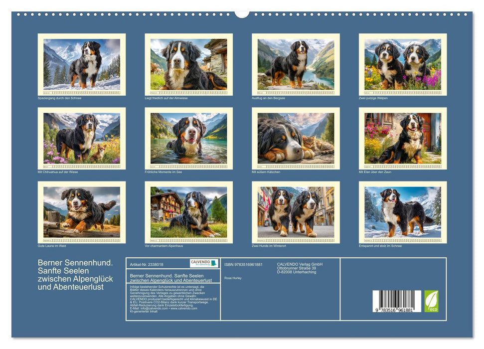 Berner Sennenhund. Sanfte Seelen zwischen Alpenglück und Abenteuerlust (CALVENDO Premium Wandkalender 2027)