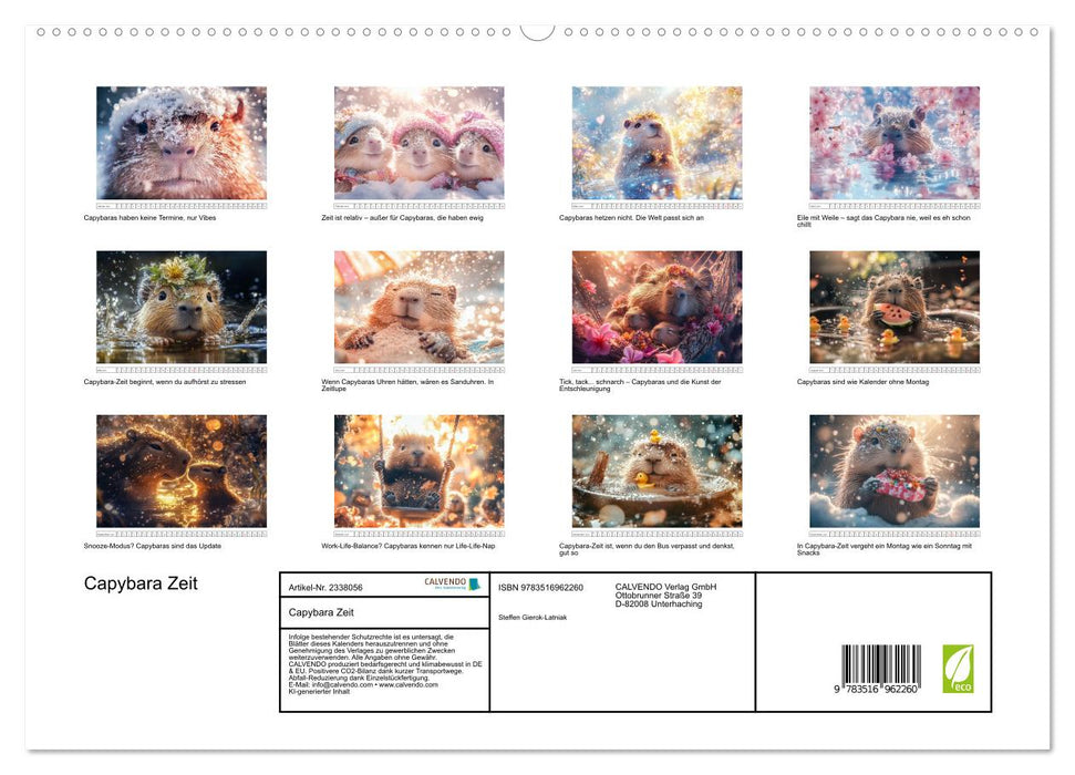 Capybara Zeit (CALVENDO Premium Wandkalender 2027)