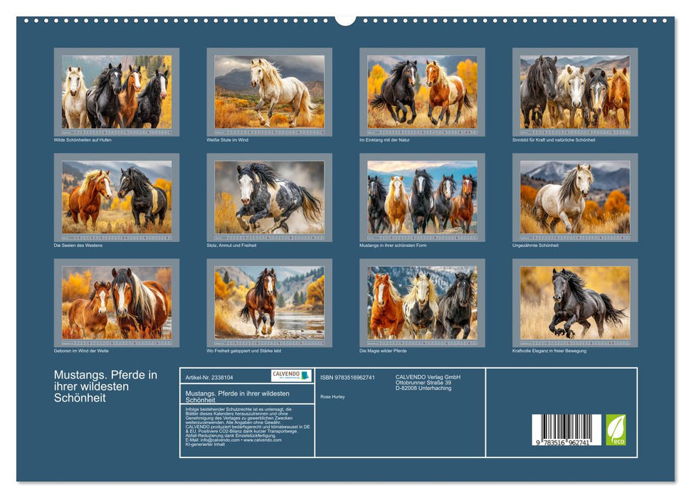 Mustangs. Pferde in ihrer wildesten Schönheit (CALVENDO Premium Wandkalender 2027)