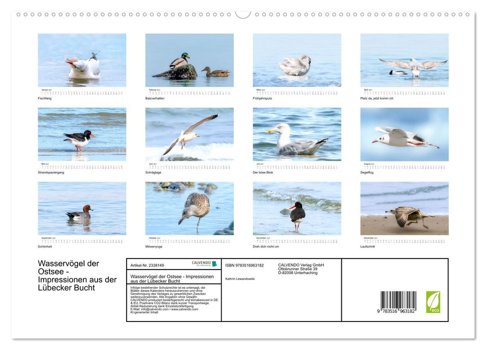Wasservögel der Ostsee - Impressionen aus der Lübecker Bucht (CALVENDO Premium Wandkalender 2027)