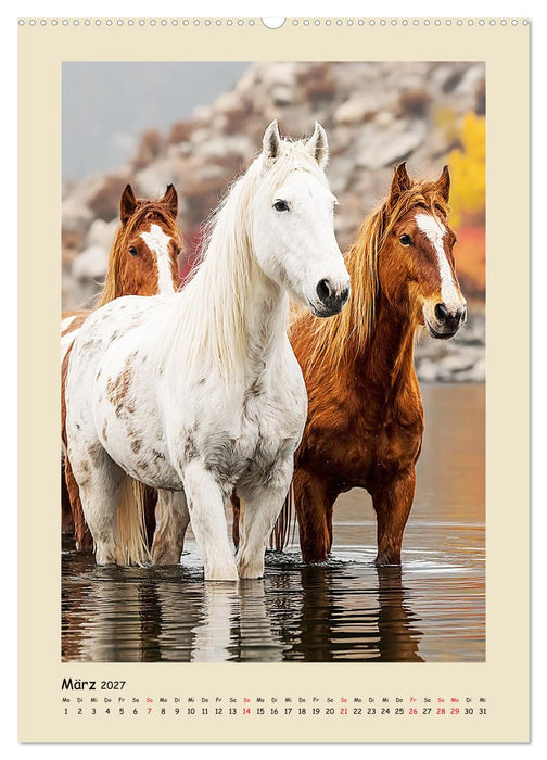 Amerikanische Mustangs. Symbole für Freiheit und Pioniergeis (CALVENDO Premium Wandkalender 2027)