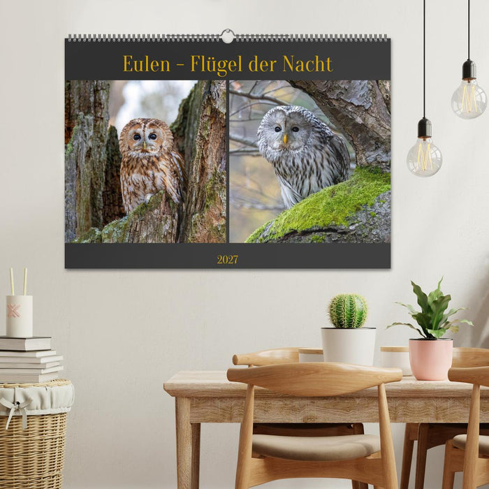 Eulen - Flügel der Nacht (CALVENDO Wandkalender 2027)