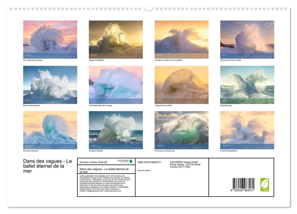 Dans des vagues - Le ballet éternel de la mer (CALVENDO Calendrier supérieur 2027)