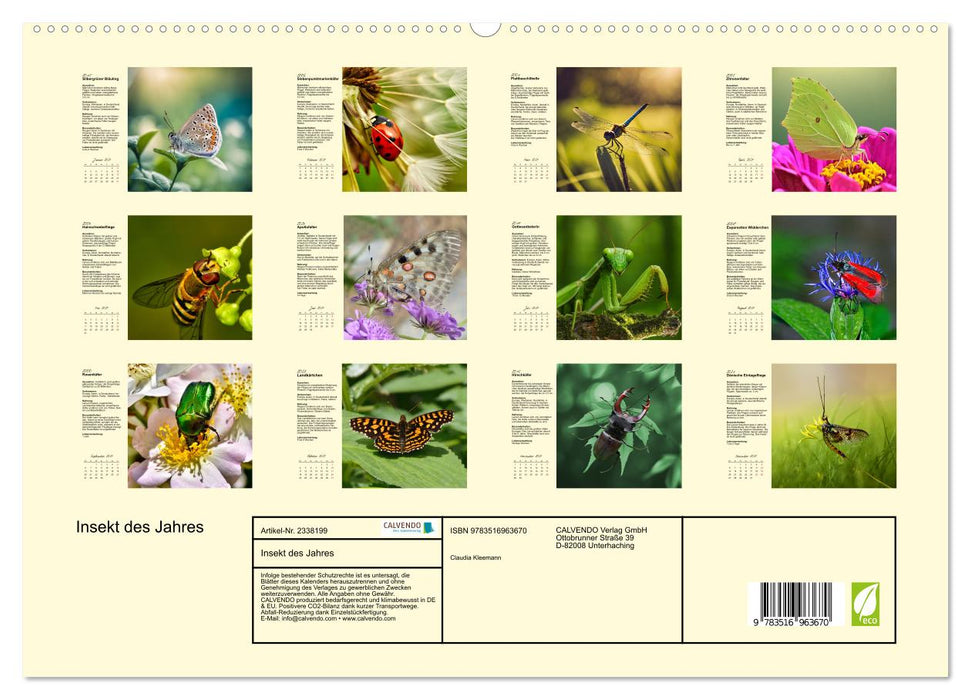 Insekt des Jahres (CALVENDO Premium Wandkalender 2027)