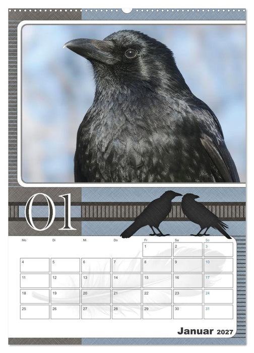 Krähen - Clever notiert! Mit Köpfchen durchs ganze Jahr (CALVENDO Wandkalender 2027)