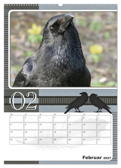 Krähen - Clever notiert! Mit Köpfchen durchs ganze Jahr (CALVENDO Wandkalender 2027)