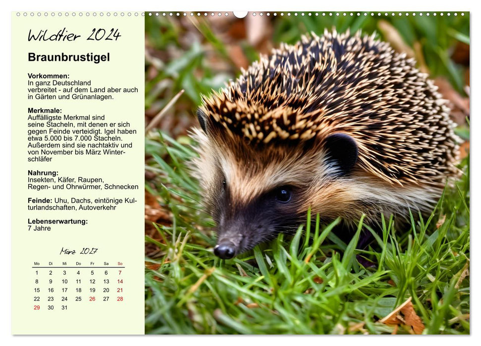 Wildtiere des Jahres (CALVENDO Premium Wandkalender 2027)